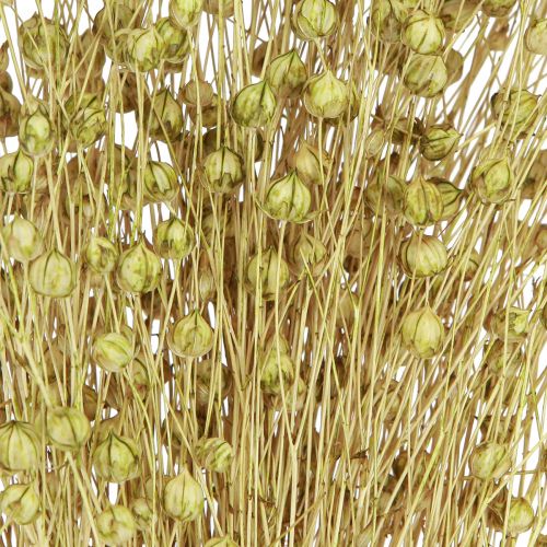 Article Déco Lin Fleurs Séchées Vert Olive 50g