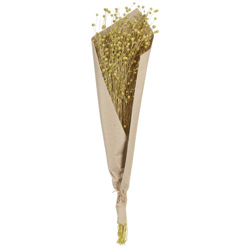 Article Déco Lin Fleurs Séchées Vert Olive 50g