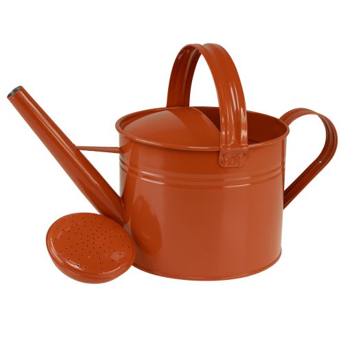 Arrosoir décoratif en métal de style champêtre, orange-brun, 26 cm, 5 L - Utilisation polyvalente comme pot de fleurs et arrosoir décoratif | Floristik24.fr