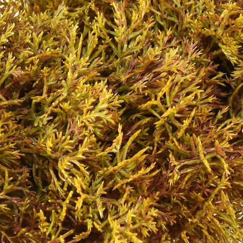 Article Couronne de mousse artificielle décorative avec cintre marron vert Ø30cm