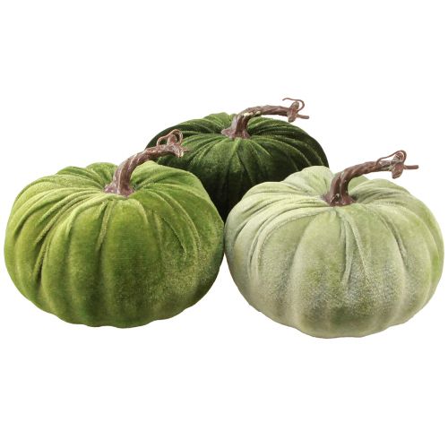 Article Déco citrouille automne vert vert foncé vert clair Ø18cm 3 pcs