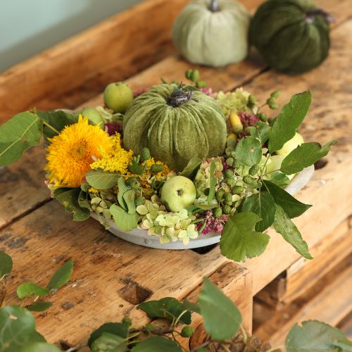 Floristik24 Citrouille décorative vert automne vert foncé vert clair Ø18cm 3 pcs
