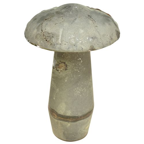 Floristik24 Champignon décoratif Métal Automne Vert Rouille Vintage 30cmx50cm
