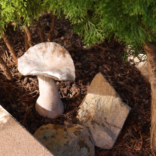 Article Champignon décoratif en pierre moulée, décoration d&#39;automne, gris lavé, 19 x 15 cm, hauteur 23 cm