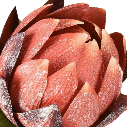 Article Fleurs artificielles décoratives Protea rouge-orange 34 cm 3 pièces
