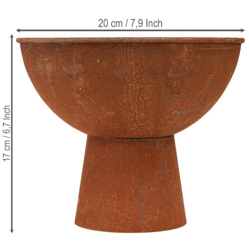 Article Coupe décorative sur pied, coupe en forme de gobelet, métal couleur rouille, Ø 20,5 cm, lot de 2