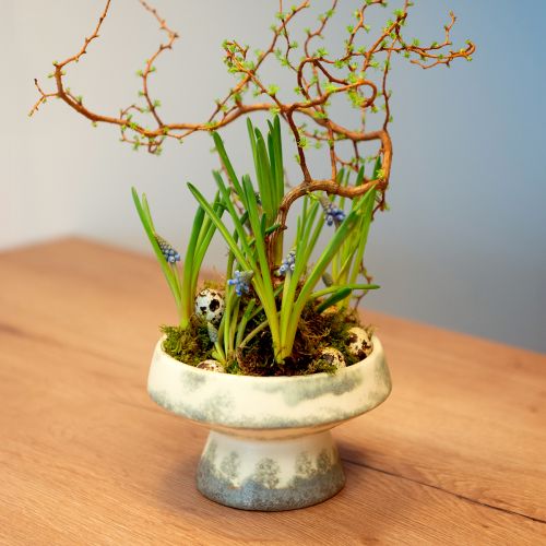 Article Bol décoratif en céramique avec socle crème gris vert Ø17cm 10cm