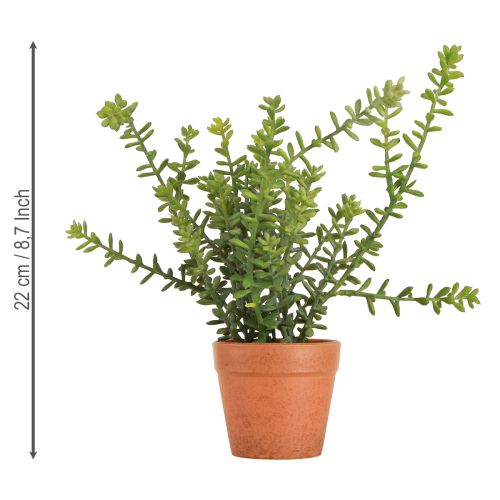 Article Thym décoratif en pot Herbes artificielles Décoration de cuisine 25cm