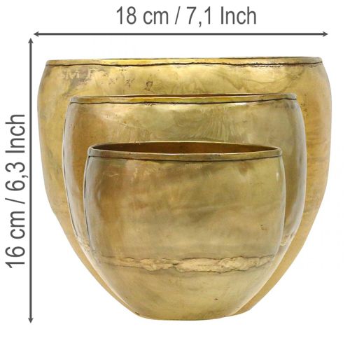Vases décoratifs en métal aspect laiton, Ø 18/15/12,5 cm, lot de 3 | Floristik24.fr