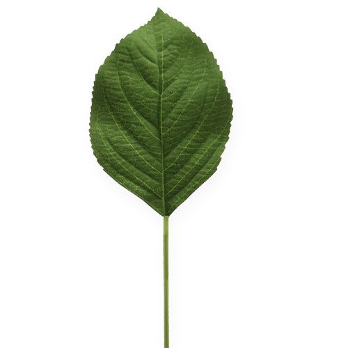Floristik24 Feuille d'hortensia déco feuille L31cm 26p