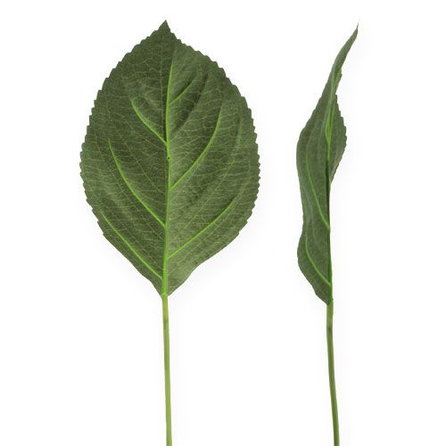 Floristik24 Feuille d'hortensia déco feuille L31cm 26p