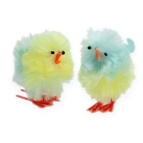 Floristik24 Poussins chenille jaune, bleu 5cm 4pcs