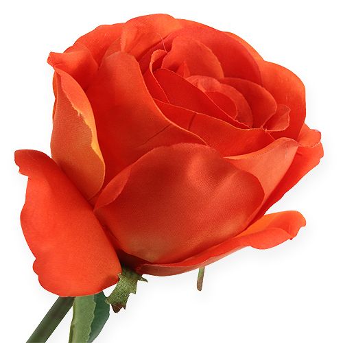 Floristik24 Roses décoratives oranges 32 cm 6 p.