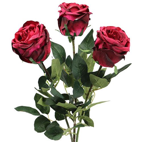Floristik24.fr Rose touffue rouge foncé Ø 8 cm L38 cm 3 ex. - acheter pas  cher en ligne
