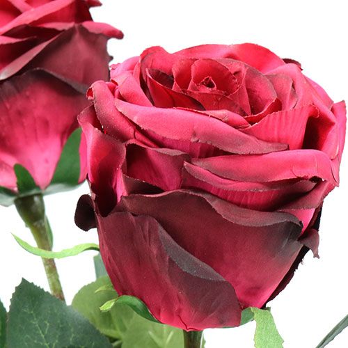 Floristik24.fr Rose touffue rouge foncé Ø 8 cm L38 cm 3 ex. - acheter pas  cher en ligne