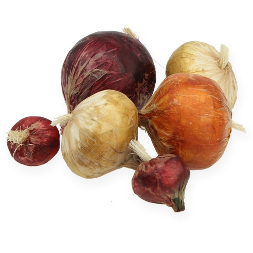 Floristik24 Grands et petits oignons artificiels, 14 pièces.