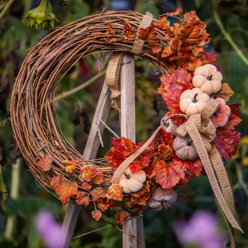 Lot de 6 mini couronnes naturelles en bois de vigne Ø 15 cm | Floristik24.fr