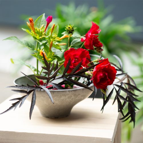 Floristik24 Bol décoratif avec base, bol à plantes rond, gris, Ø19cm, H8cm