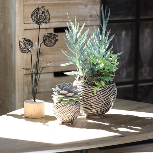 Floristik24 Bol Décoratif Céramique Décor Spirale Beige Marron Ø9cm 4pcs