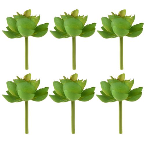 Article Echeveria Succulentes Artificielles Vert Ø7cm 6 pcs