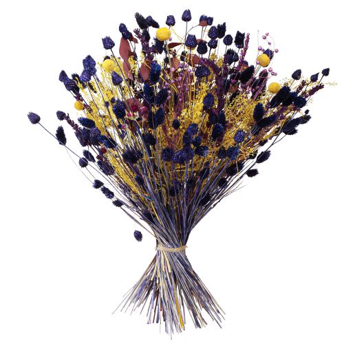 Article Chardons aux fraises Chardon sec Décoration de chardon Violet 44-58cm 100g