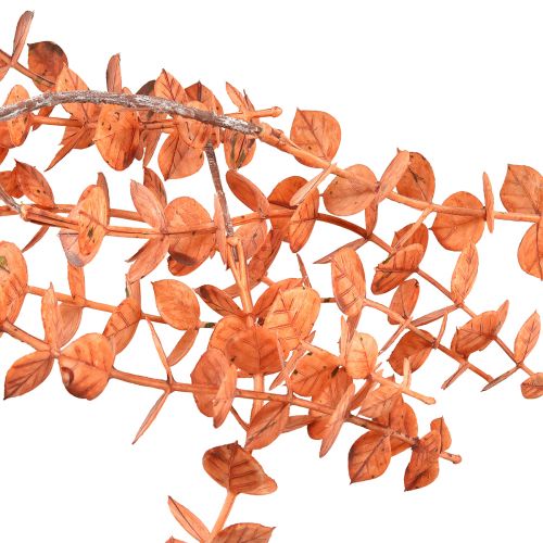 Article Cintre Eucalyptus Artificiel Automne Eucalyptus Orange 150cm