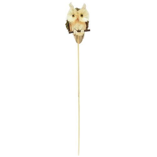 Article Bouchons de fleurs décoratifs hibou décoration d&#39;automne naturel Ø4cm H8cm 4pcs