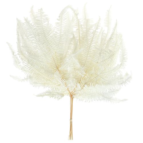 Floristik24 Fougère Feuilles de Fougère Décoratives Préservées Blanchies L45cm 10 pcs