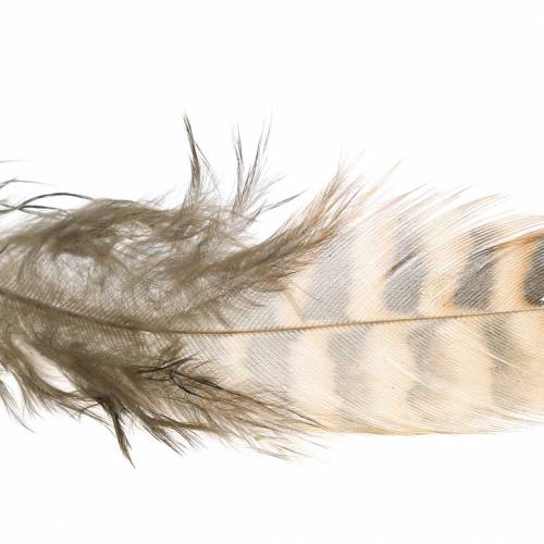 Floristik24 Plumes naturelles 4.5 - 9cm 20g