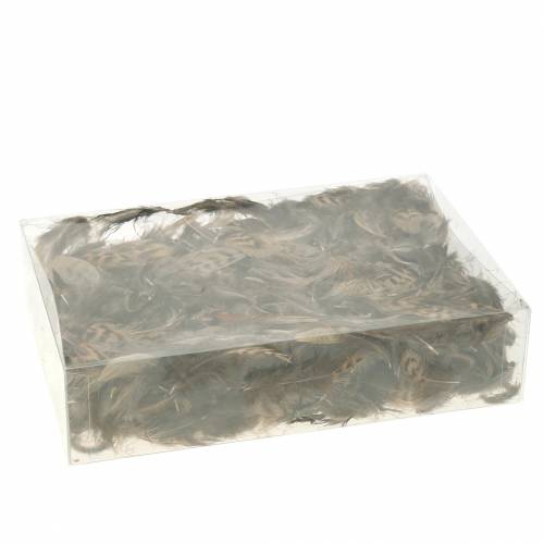 Floristik24 Plumes naturelles 4.5 - 9cm 20g
