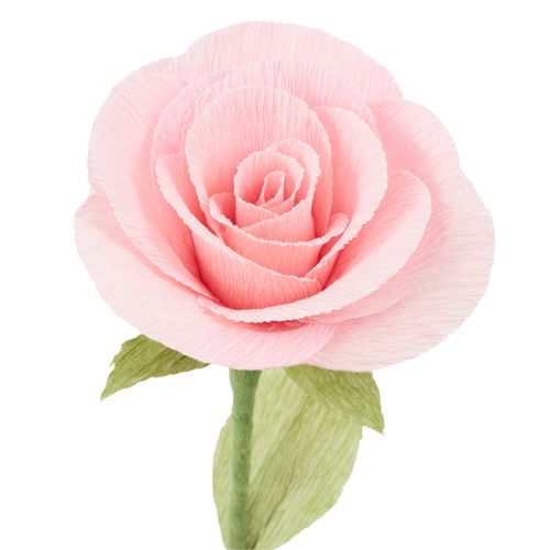 Article Papier crépon fleuriste crêpe fleuriste rose 50×250cm 5pcs