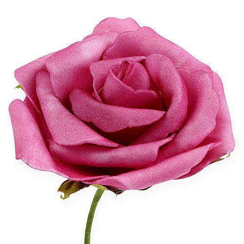 Floristik24 Rose en mousse Ø 8cm fuchsia 18 pcs