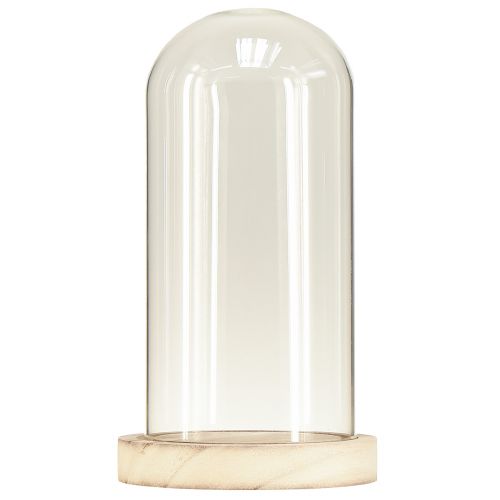 Article Cloche en verre avec socle en bois naturel clair Ø12cm H21cm