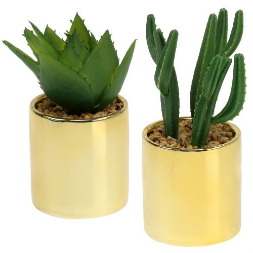 Cactus vert en pot doré 12cm - 17cm 4pcs