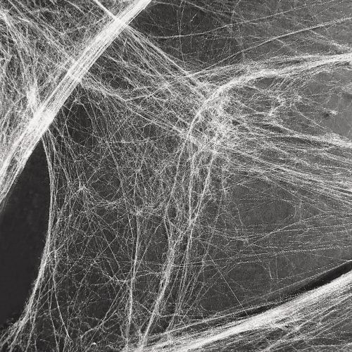 Floristik24 Toile d&#39;araignée décorative d&#39;Halloween 70×100cm 150g