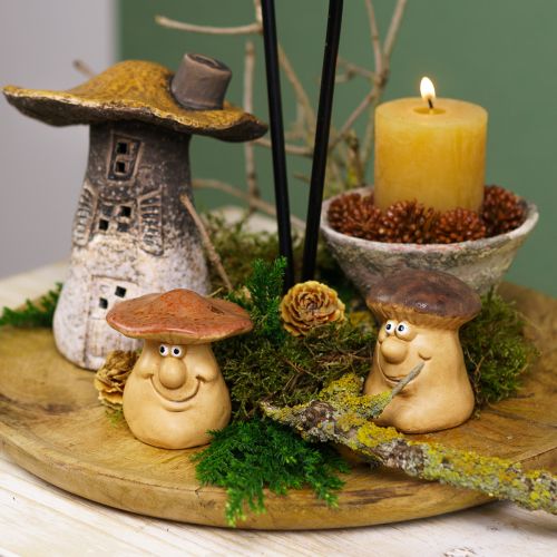 Article Coffret de décoration d&#39;automne Hérisson Champignons Dragon – Achetez un coffret de décoration pas cher