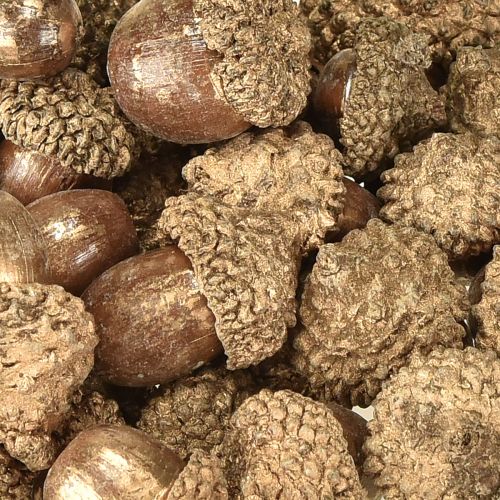 Article Fruits d'automne dorés, décorations d'automne festives, glands décoratifs naturels, décoration de l'Avent Ø1,5 – 2,5 cm L1,5 – 3 cm 300 g