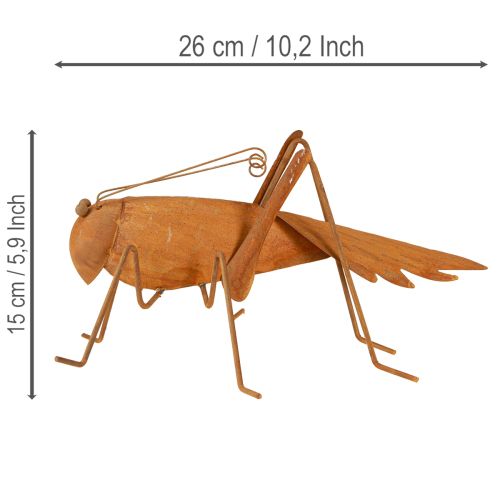 Article Sauterelle décorative pour jardin, métal rouillé, à poser, 26 cm