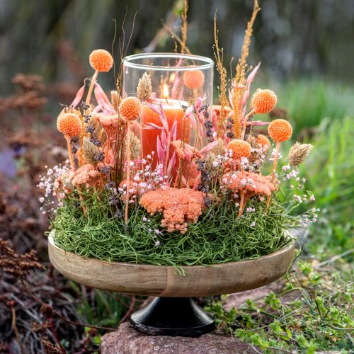 Article Bol en bois avec base bol décoratif bois naturel noir Ø25cm
