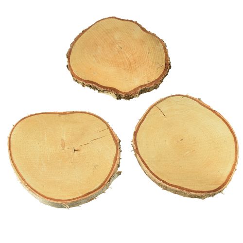Floristik24 Disques en bois de bouleau avec écorce disques d'arbre Ø20-22cm 3 pièces