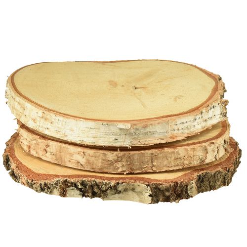 Floristik24 Disques en bois de bouleau avec écorce disques d'arbre Ø20-22cm 3 pièces