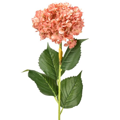 Floristik24 Hortensia rose 80 cm 1 pièce