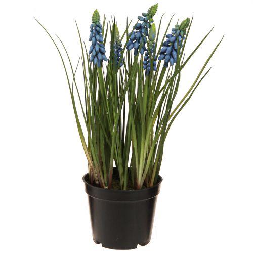 Floristik24 Jacinthes artificielles dans un pot bleu 24cm