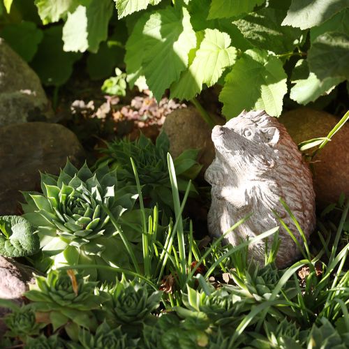 Figurine décorative d&#39;automne en forme de hérisson en pierre moulée blanche lavée H14,5 cm
