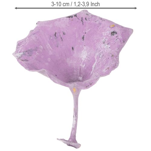Article Champignon Kalix violet, blanchi à la chaux, 100 pièces