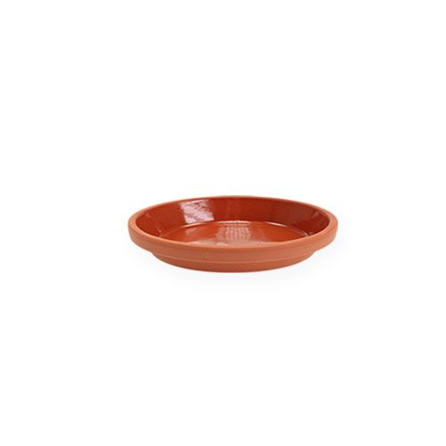 Floristik24 Sous-verre terre cuite en terre cuite Ø5cm