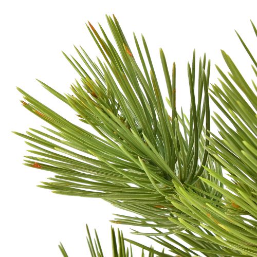 Floristik24 Pin en Pot Mini Sapin de Noël Artificiel Vert H72cm