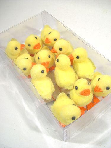 Floristik24 Poussin m. Pieds métalliques 8cm 12pcs jaune / orange