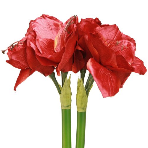 Article Amaryllis Artificielle Fleurs Artificielles Rouge Ø18cm L68cm 2pcs