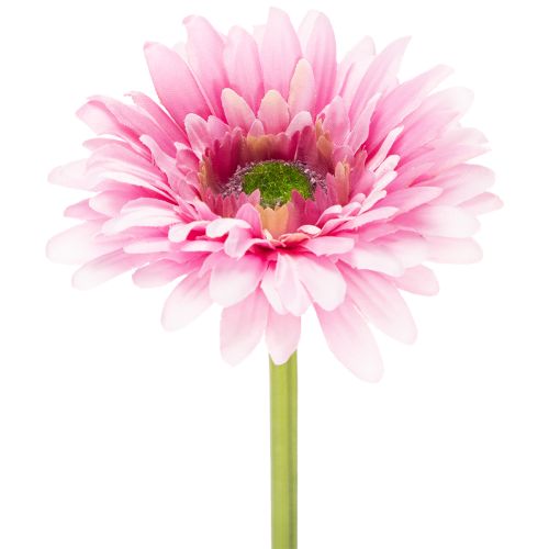 Fleurs artificielles Gerbera rose 47 cm avec tige flexible – Lot de 6 acheter | Floristik24.fr